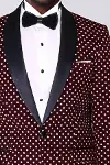 Nokta Desenli Slim Fit Bordo Erkek Smokin Ceket - Wessi-2