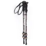 Evolite Golden Quick-Lock Dıştan Kilitli Trekking Batonu-6