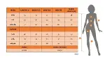 Kadın Kısa Kollu Kayık Yakalı Bluz Ve Pantolon Ikili Takım-5