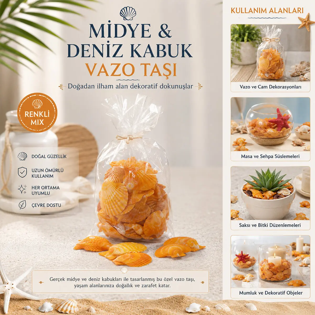 POŞETLİ RENKLİ MİX MİDYE - DENİZ KABUK VAZO TAŞI (4745)