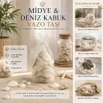 POŞETLİ RENKLİ MİX MİDYE - DENİZ KABUK VAZO TAŞI (4745)-2