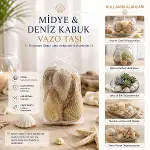 POŞETLİ RENKLİ MİX MİDYE - DENİZ KABUK VAZO TAŞI (4745)-3