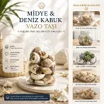 POŞETLİ RENKLİ MİX MİDYE - DENİZ KABUK VAZO TAŞI (4745)-4
