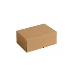 50PCS LASTİK TAMİR - YAMA FİTİLİ (4745)-3