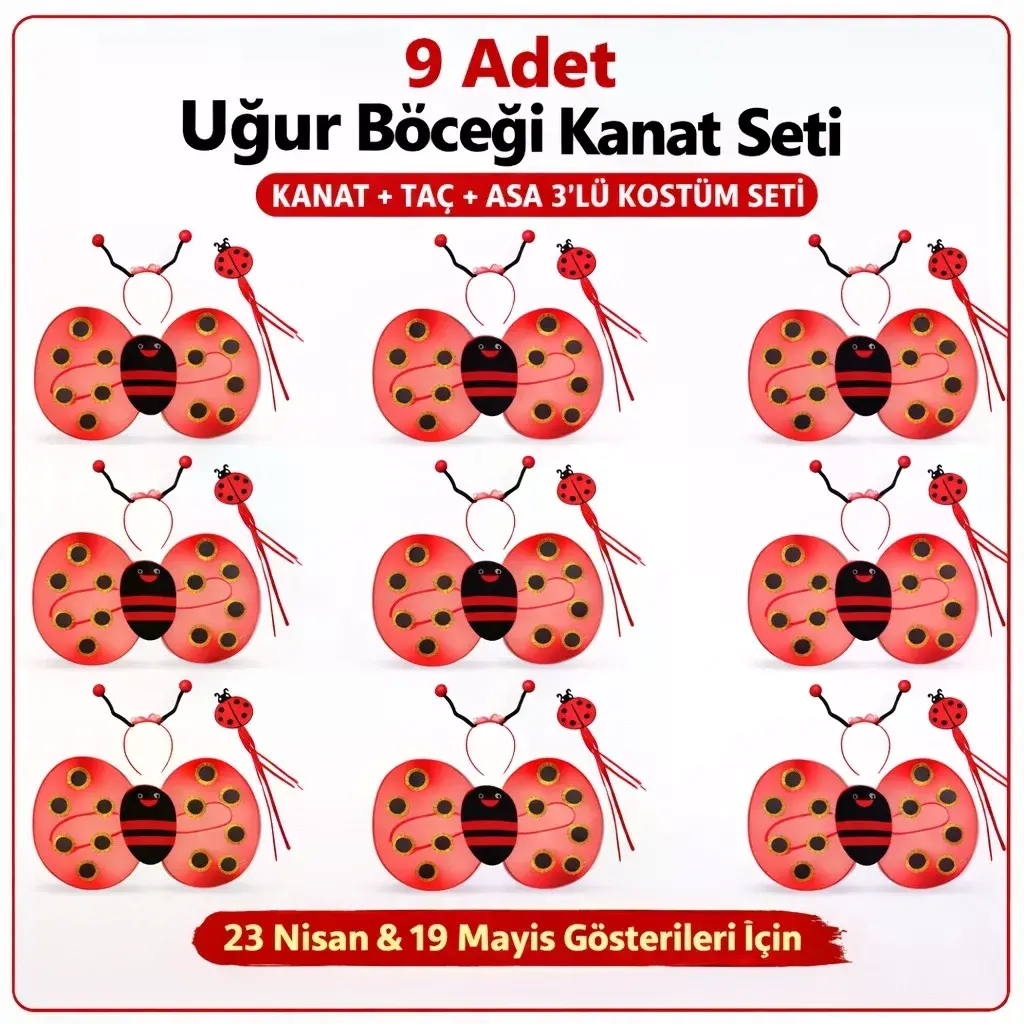 9’lu Uğur Böceği Kostüm Seti – Kanat Taç Asa