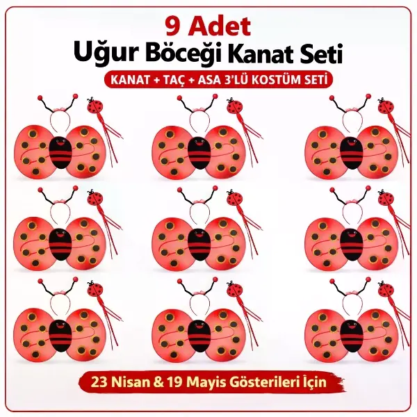 9’lu Uğur Böceği Kostüm Seti – Kanat Taç Asa