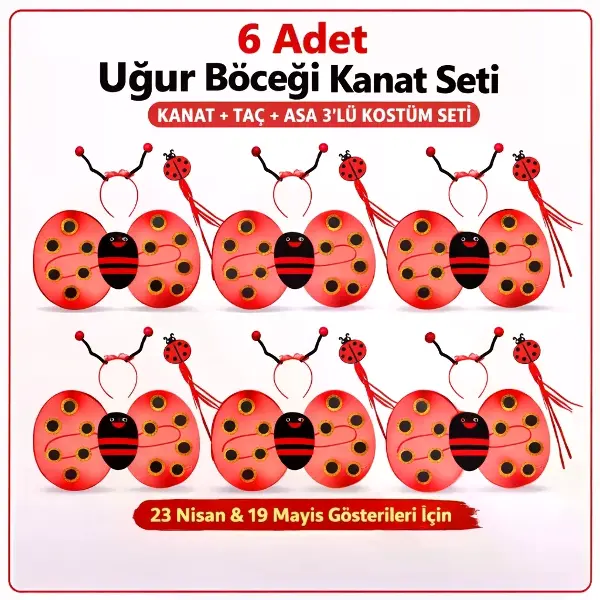 639lı Uğur Böceği Kostüm Seti – Kanat Taç Asa