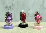 Işıklı Müzikli Romantik Fanus Tekli Gül Alk5007-2