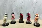 Işıklı Müzikli Cam Fanus İçinde Romantik Gül  Alk5004-2