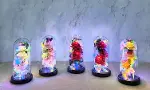 Işıklı Müzikli Cam Fanus İçinde Romantik Gül  Alk5004-1