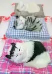 Yastıkta Uyuyan Kedi Sesli Alk25-2