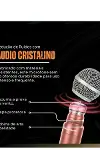 Profesyonel Çiftli Kablosuz Mikrofon Seti Karaoke Şarj Edilebilir 50 Metre Mesafe Rose-4