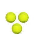 Petzoom Köpek Oyun Topu Tenis Topu ***-1