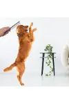 Kıtık Açıcı Metal Kedi Köpek Tarağı-2