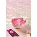 Z5 Arktik Okyanus Temalı Bt Kablosuz Hoparlör - Pembe-3