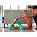 FTG10 Fisher-Price® Eğitici Köpekçik Yürüteç /Türkçe-6