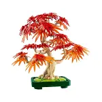 10348 Lego iconic Japon Akçaağaç Bonsai Ağacı 474 parça +18 yaş-3