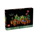 10329 Lego Botanical Collection - Minik Bitkiler 753 parça +18 yaş-1