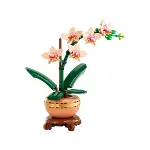 10343 Lego Botanicals Mini Orkide 274 parça +18 yaş-3