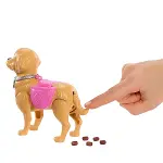 JJB46 Barbie ve Köpekçiğin Yürüyüş Zamanı-3