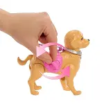 JJB46 Barbie ve Köpekçiğin Yürüyüş Zamanı-4