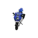 57003 Suzuki GSX-R1000 2008 -Sunman-3