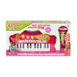 2172 Elektronik Mikrofonlu Işıklı Org 24 Tuş -Sunman-1