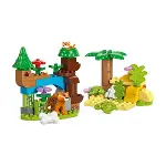 10446 Lego Duplo 3ü1 Arada Vahşi Hayvan Aileleri 92 parça +2aş-4