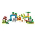 10446 Lego Duplo 3ü1 Arada Vahşi Hayvan Aileleri 92 parça +2aş-5