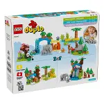 10446 Lego Duplo 3ü1 Arada Vahşi Hayvan Aileleri 92 parça +2aş-6