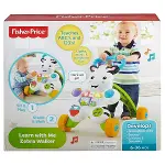 DLD80 Fisher-Price® Melodili Zebra Yürüteç-1