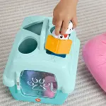 HTW93 Fisher-Price Hayvan Dostlarımın Çantası-4