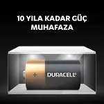 Duracell Basic C Boy Pil 2Li-4