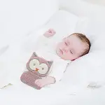 BabyJem Kiraz Çekirdekli Baykuş Kadife Gaz Yastığı 366 Gül Kurusu-2