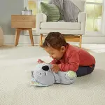 Fisher Price Uyku Arkadaşı Koala GRT59-7