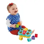 Fisher Price Şekil Eşleştirme Arkadaşı Kelebek CDC22-3