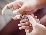 BabyJem Kolay Kavrama Bebek Tırnak Makası 576 Gri-2