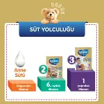 Bebelac Gold Bebek Devam Sütü No1 350 Gr-6