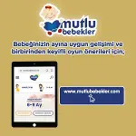 Bebelac Gold Bebek Devam Sütü No1 350 Gr-7