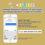 Bebelac Gold Bebek Devam Sütü No1 350 Gr-8