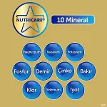 Bebelac Gold Bebek Devam Sütü No3 350 Gr-7