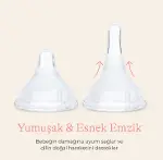 Lansinoh Biberon 2'Li Natural Wawa Biberon Emziği 240 ml-4