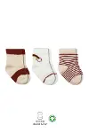 Bistyle 3lü Penye Rainbow Soket Çorap 10113 Kiremit-1