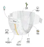 Sleepy Bio Natural Premium Plus Airbag Comfort Bebek Bezi 1 Beden 64 Adet-3
