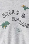 Carters Erkek Bebek Body Pantolon Set 1U270510 Gri-2