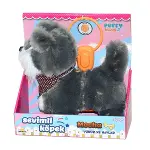 2859  Sevimli Köpek Mocha-2