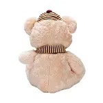 1001521 SUN-SABC-JNH-PFF-SK PELUŞ AYI OTURAN ŞAPKALI ATKILI 50CM 2R-4