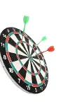 17 İnç Dart-2