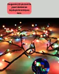 Festivaller ve Özel Günler İçin LED Dekoratif Işık-2
