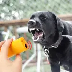 Ultrasonik Köpeksavar Köpek Kovucu Köpek Kornası Eğitim Cihazı-2